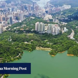 Hong Kong man, 75, hospitalised after getting stung by a bee during hike