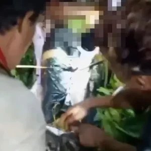 Horrifying moment man cuts his brother's body out of the belly of 23ft python