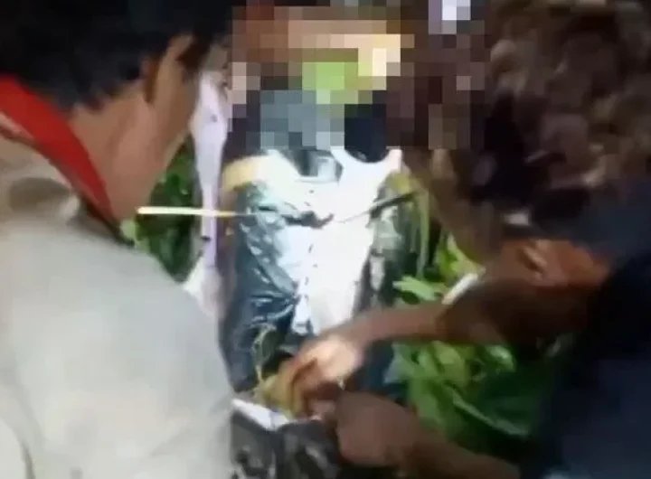 Horrifying moment man cuts his brother's body out of the belly of 23ft python