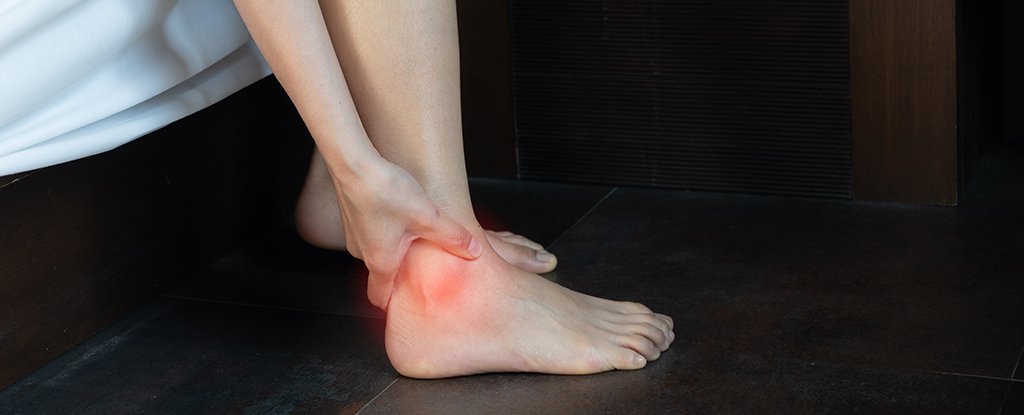 Huge Study Shows Where Gout Comes From, And It's Not What We Thought : ScienceAlert