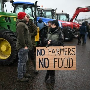 Independent readers left divided over Labour’s ‘tractor tax’ on inherited farms