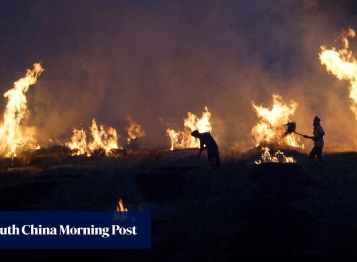 Indian farmers must keep burning stubble despite fines, toxic smog: ‘we don’t do this for fun’