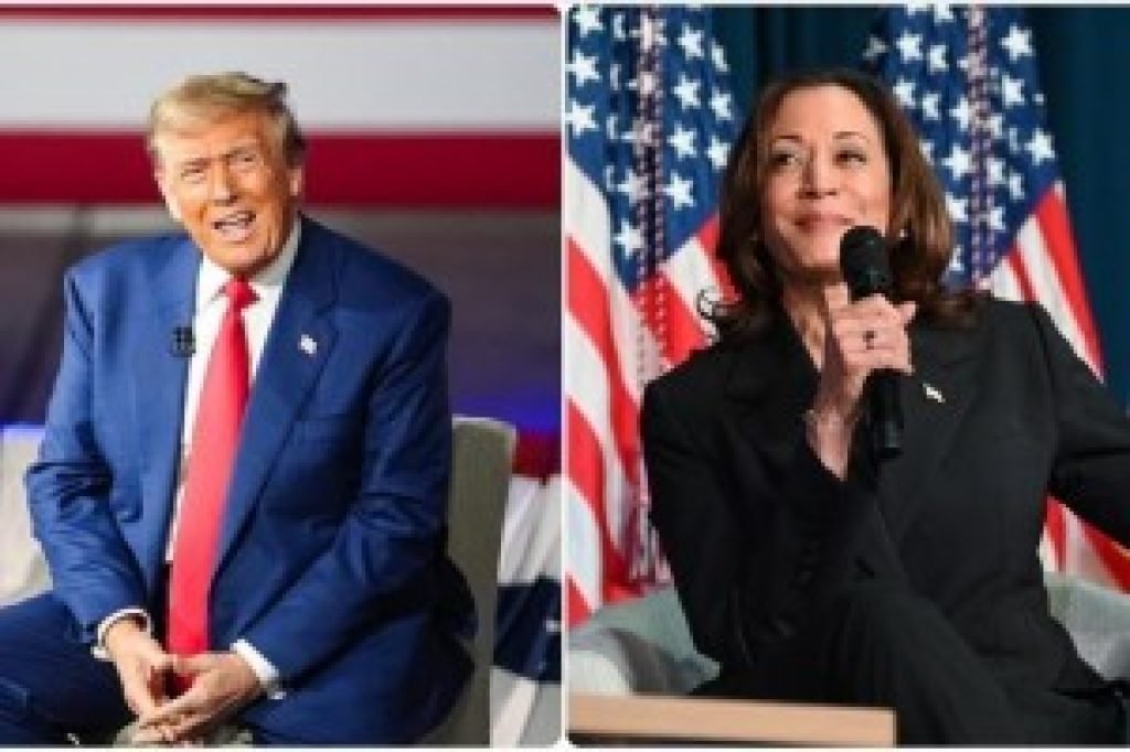 Judgement day: Trump or Harris?