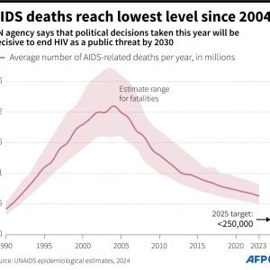 LOOK: A chart showing the average number of AIDS-related d*aths between 1990 and 2023, and the 2025 UN target.