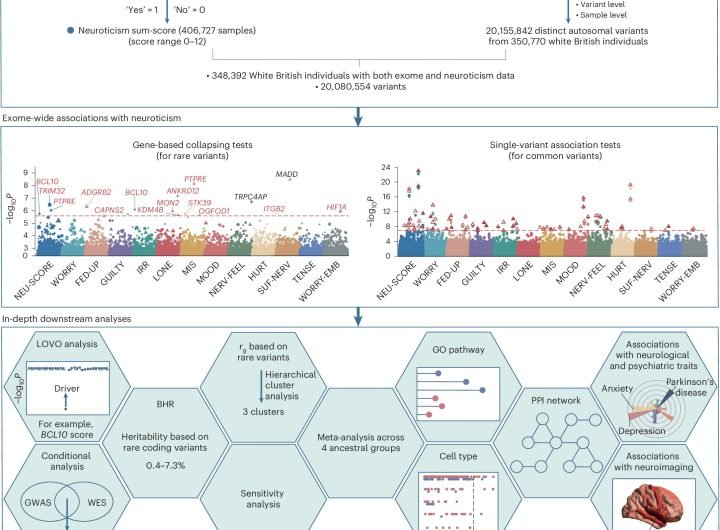 Large-scale genetic study identifies 14 genes linked to neuroticism