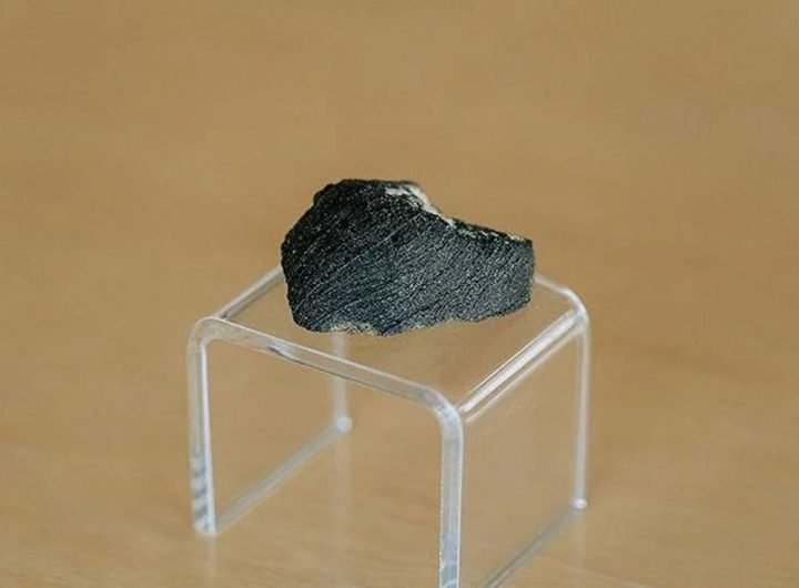 a small black rock on a clear plastic stand