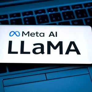 Meta makes Llama AI available for US defence and security