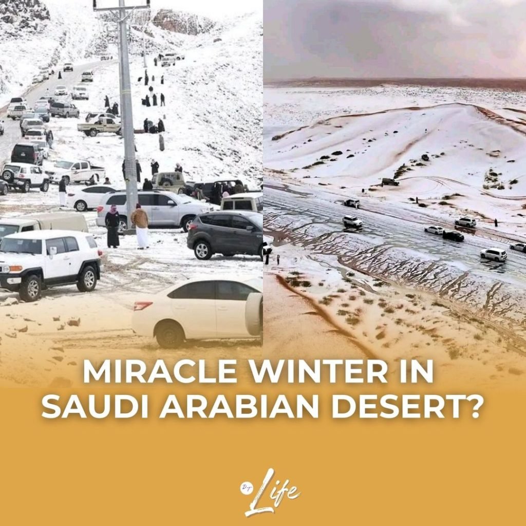 Miracle Winter in Saudi Arabian Desert?