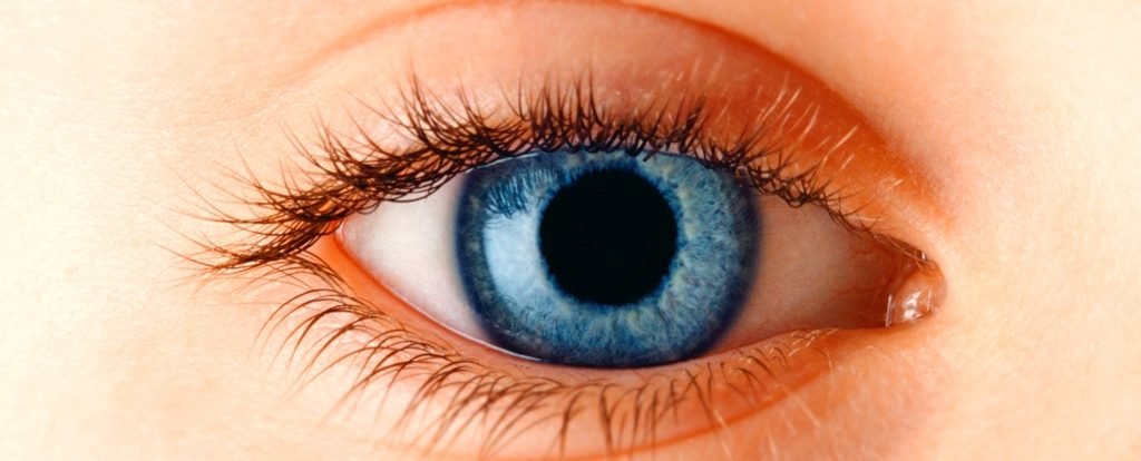 Myopia in Kids Is Rising. Here's How to Protect Your Child's Vision. : ScienceAlert