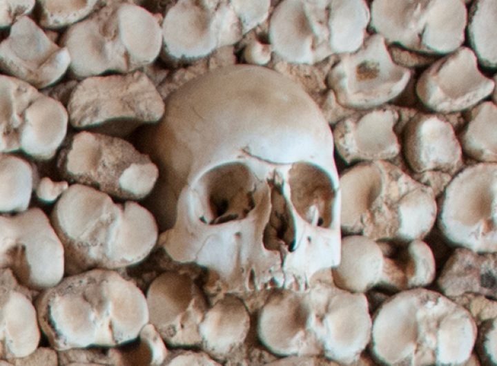 Neanderthals Buried Their Dead, But In Strangely Different Ways : ScienceAlert