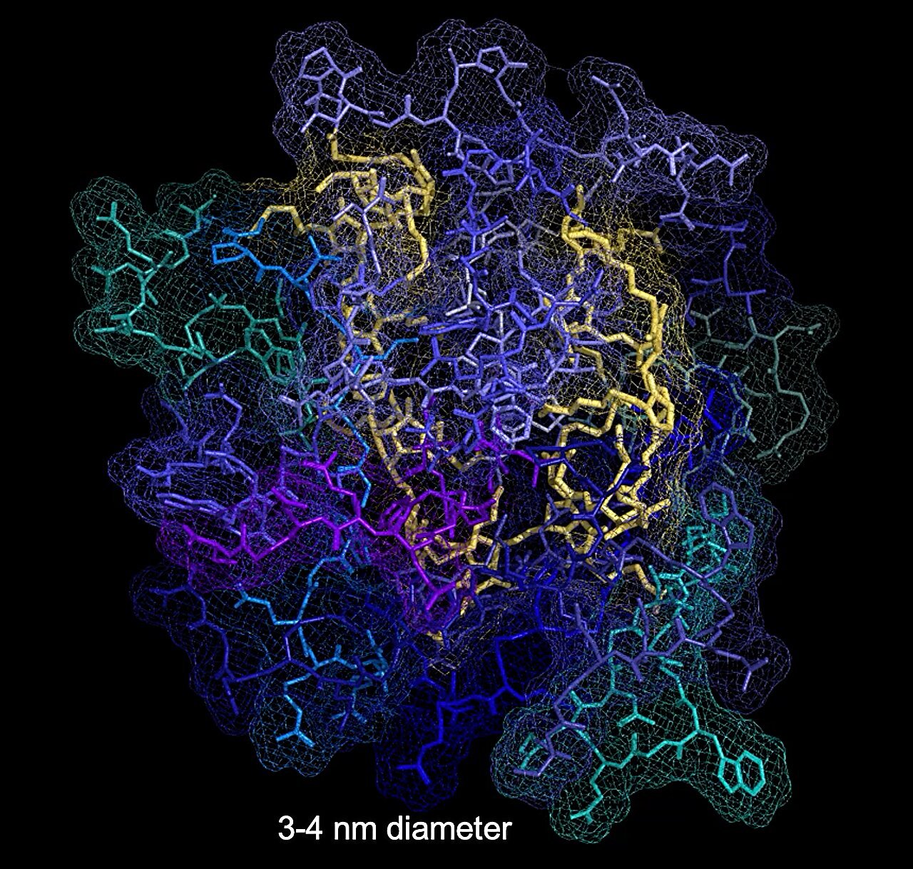 New Huntington's treatment prevents protein aggregation