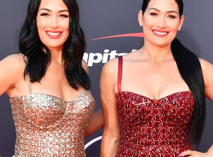 Nikki Garcia Steps Out With Brie After Artem Chigvintsev Divorce