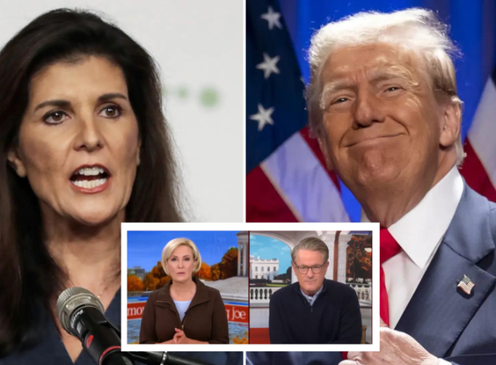 Nikki Haley calls out 'Morning Joe' hosts for meeting with Trump: 'They saw their ratings'