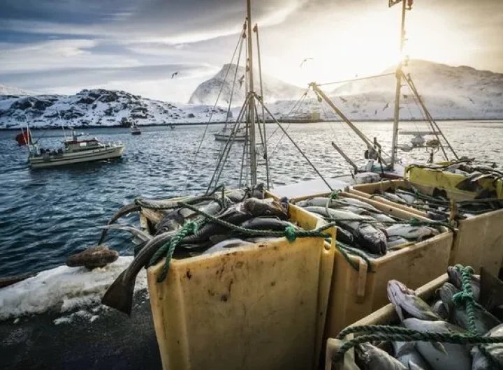 Norway fishermen go hunting for halibut but end up catching a US Navy nuclear submarine