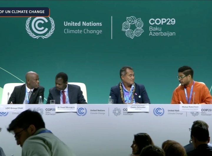 On the fifth day of COP29, climate negotiating blocs Alliance of Small Island States and the Least Developed Countries give the lay of the land of the