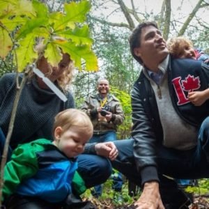 Out on a limb: Ottawa is falling behind on its promise to plant 2 billion trees