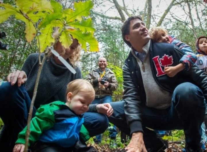 Out on a limb: Ottawa is falling behind on its promise to plant 2 billion trees