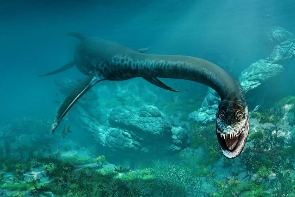 Styxosaurus Plesiosaur