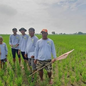 Pampanga farmers’ P206M debt waived