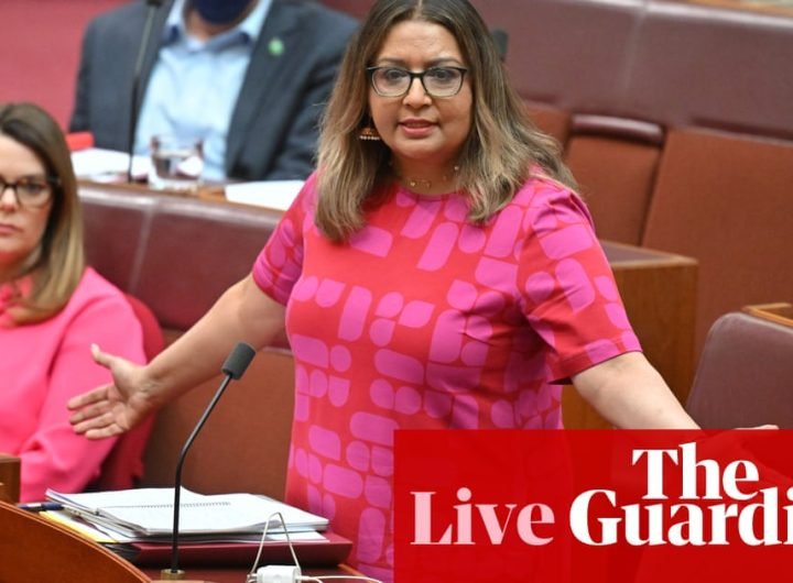 Politics live: Faruqi says Australia’s $50m Cop29 pledge ‘nowhere near our fair share’; Albanese meets Modi in Brazil | Australia news