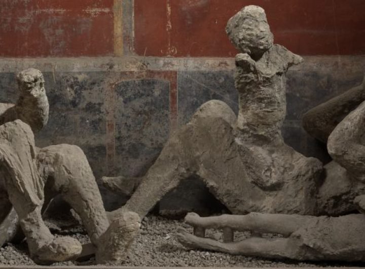 Pompeii DNA Overturns Long-Held Assumptions About Its Victims : ScienceAlert