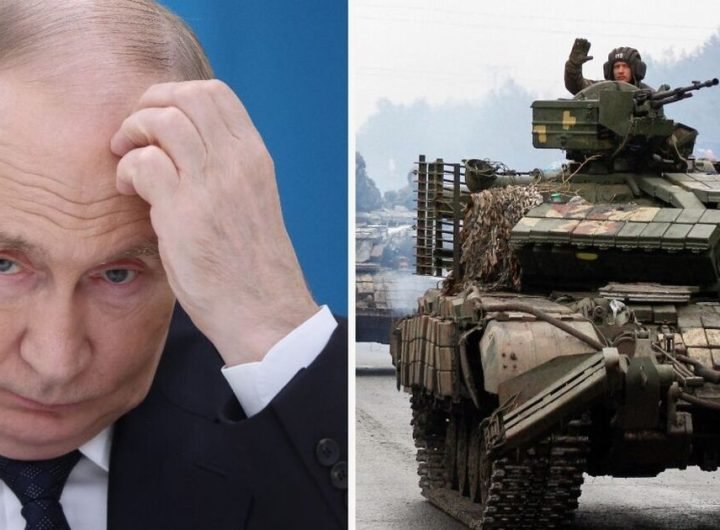 Putin has 'already lost the war in Ukraine', exiled Russian activist claims | World | News