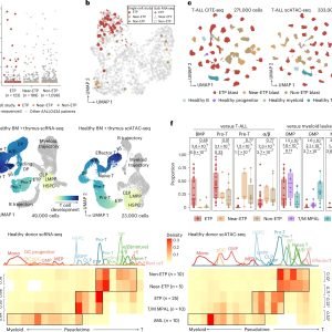 Researchers identify gene signature for high-risk form of T-cell acute lymphoblastic leukemia