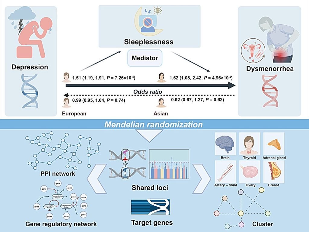 Researchers identify potential genes linking depression to menstrual pain