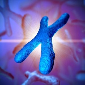 Chromosome Genetics Illustration