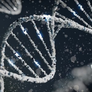 Scientists discover new details of gene regulation that control cell identity