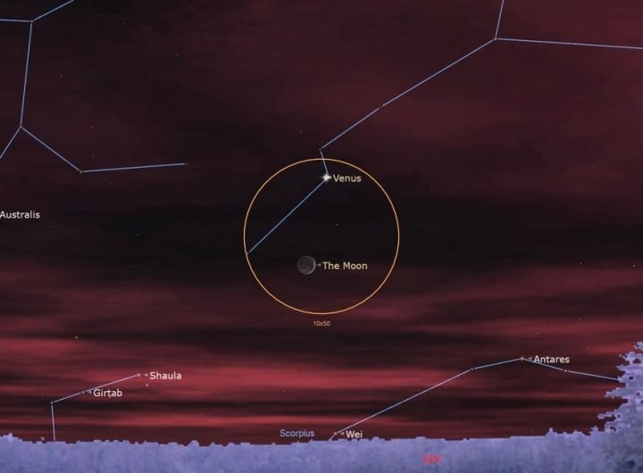 a pink hazy sky looms over a low grassy horizon, with thin blue lines tracing faint points to show constellations. A small crescent moon hangs near the center, circled with venus inside a thin orange circle.