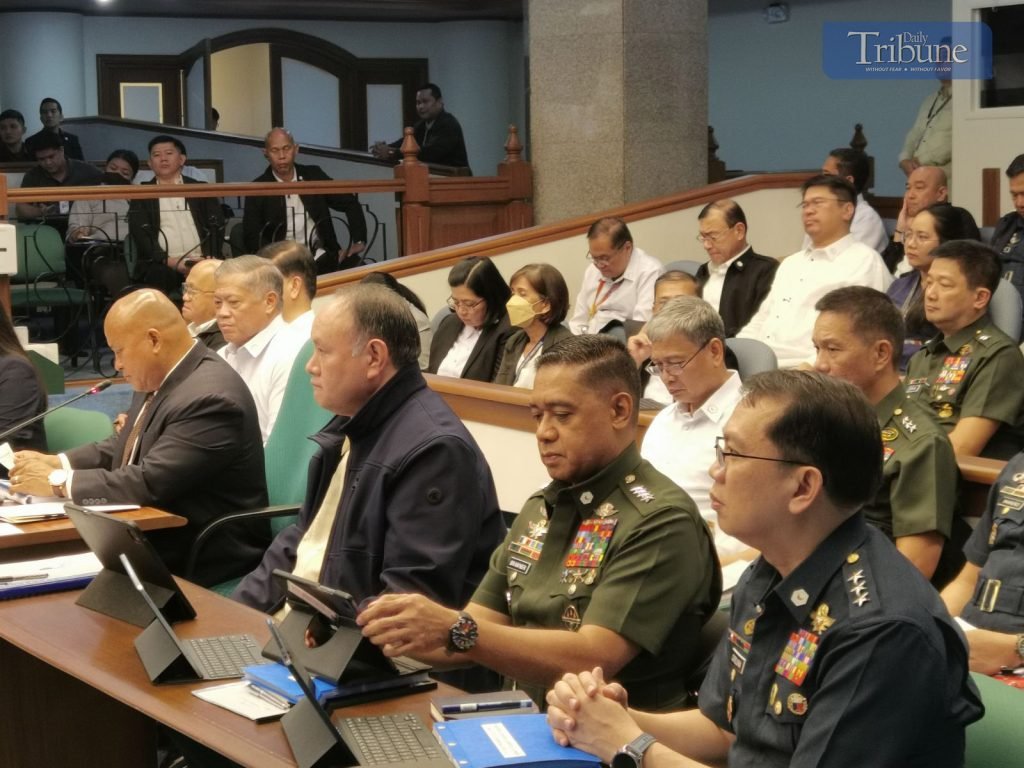 Senate tackles DND’s proposed budget for 2025