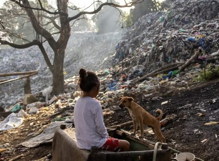 South Korea is hosting the fifth and final UN Intergovernmental Negotiating Committee meeting to agree on globally binding rules on plastics this week