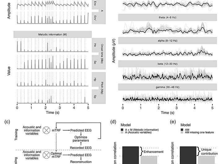 Study explores how brain waves reflect melody predictions while listening to music