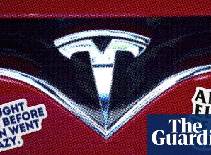 Tesla owners turn against Musk: ‘I’m embarrassed driving this car around’ | Elon Musk