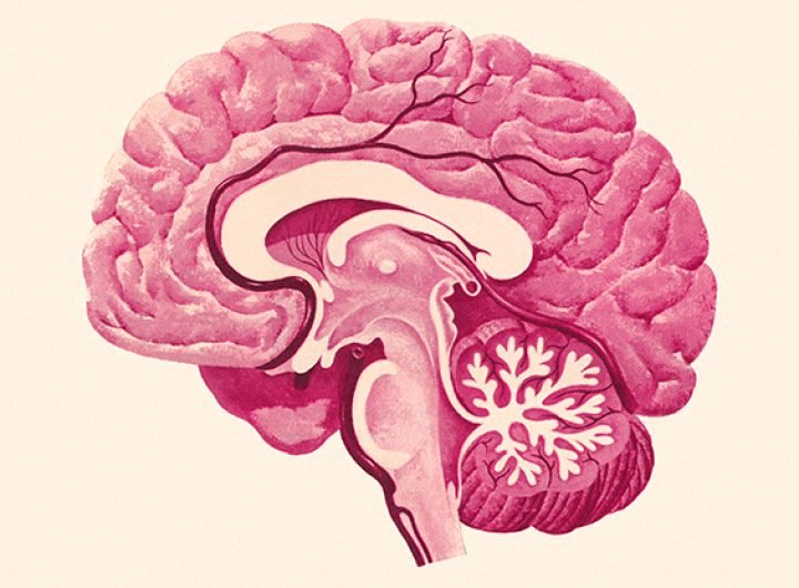 The Cold Sore Virus Can Infect Your Brain. But How Does It Get Inside? : ScienceAlert