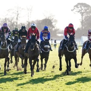 Fontwell racecourse general view