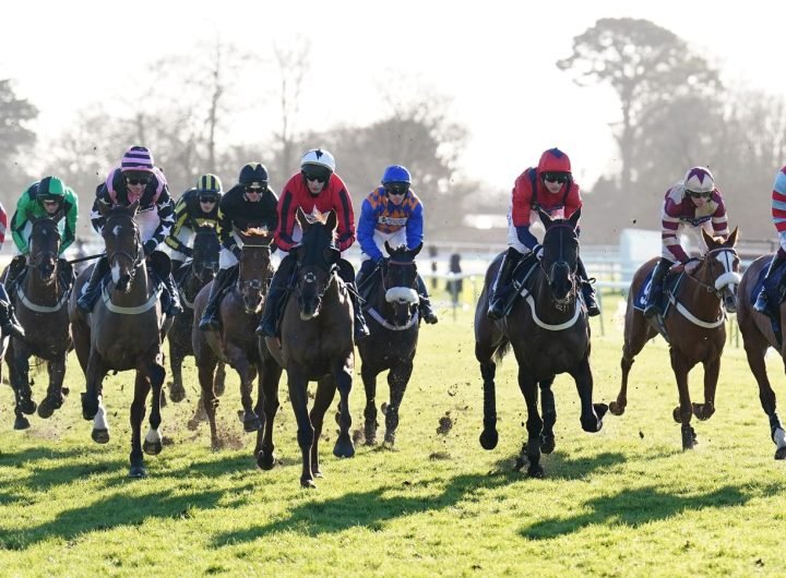 Fontwell racecourse general view