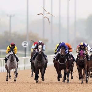 Southwell all-weather Flat action