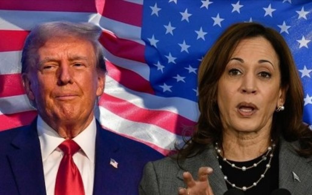 Trump 230 vs Harris 205