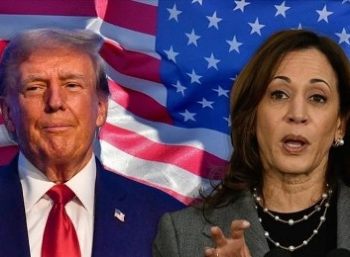 Trump 230 vs Harris 205