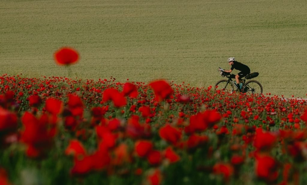 Trying To Catch Up With Lael Wilcox As She Biked Around The World In 108 Days