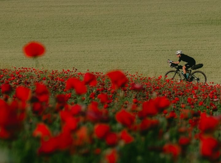 Trying To Catch Up With Lael Wilcox As She Biked Around The World In 108 Days