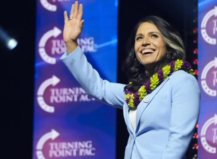 Tulsi Gabbard Appointed as Director of National Intelligence by Trump | World News