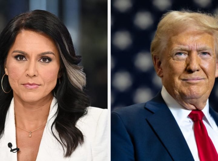 Tulsi Gabbard Joining Trump's Cabinet Is A Betrayal