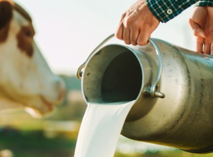 Warnings Issued in California After Bird Flu Confirmed in Raw Milk : ScienceAlert