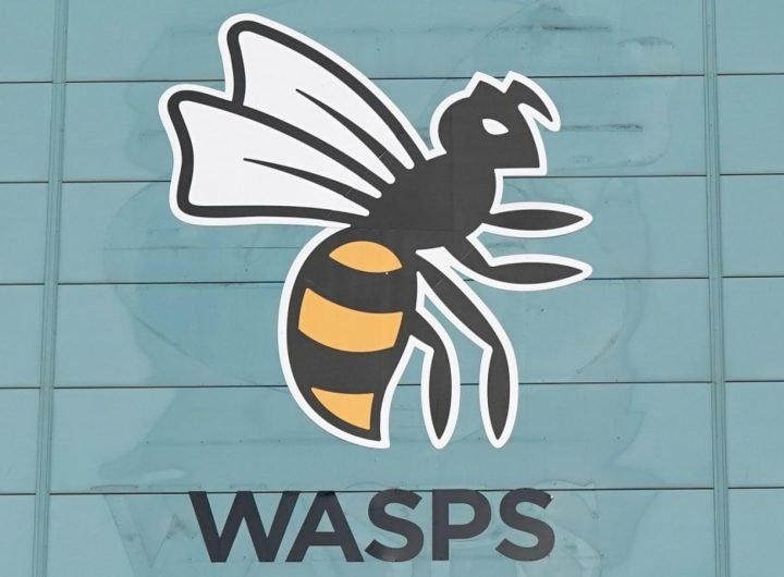 Wasps