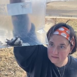 'We basically lost everything': Bats force Sask. family to abandon house