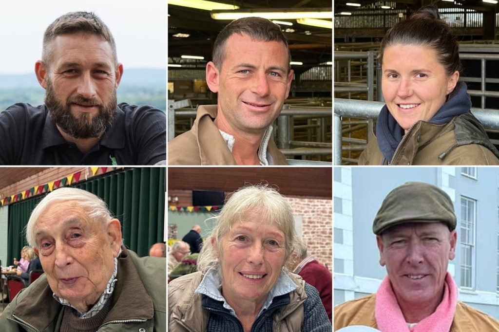 ‘It’s become so tough I’m looking for a second job’: Inside the farming crisis