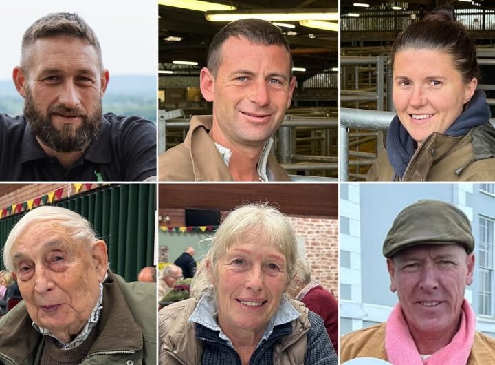 ‘It’s become so tough I’m looking for a second job’: Inside the farming crisis